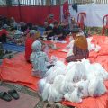 DPC PDIP Kebumen Sembelih Tujuh Hewan Kurban